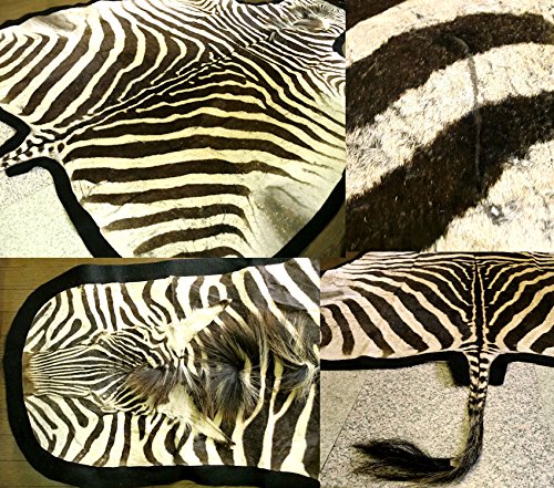 シマウマ ゼブラ 革 敷物 動物 皮革 ラグ マット リアルレザー Amazon｜ゼブラ敷物約309×175cm シマウマ ゼブラ柄 ラグマット